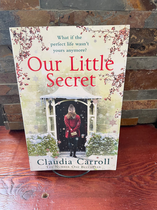 Our Little Secret by Claudia Carroll