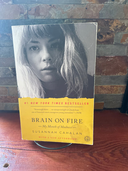 Brain on Fire by Susannah Catalan