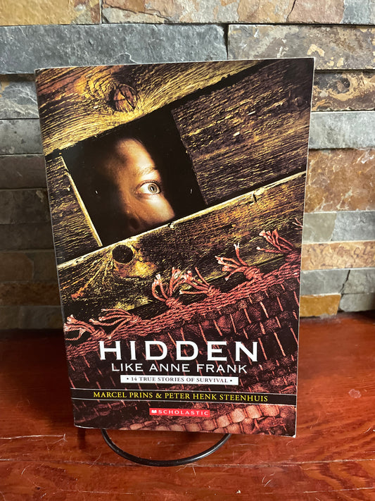 Hidden Like Anne Frank by Marcel Prins & Peter Henk Steenhuis