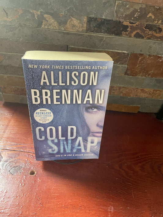 Cold Snap by Allison Brennan